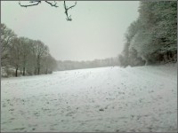012-15.jpg