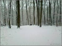 022-15.jpg