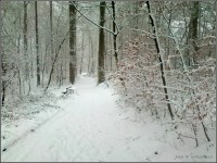 024-15.jpg