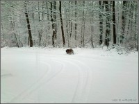 031-15.jpg