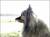 048-15.jpg