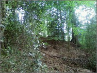 097-15.jpg