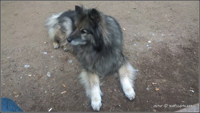 2019-037.jpg